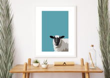 Load image into Gallery viewer, What Are Ewe Looking At – Blue Sheep – Irish wall art print