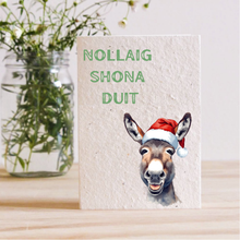 Load image into Gallery viewer, ASAL/DONKEY - NOLLAIG SHONA DUIT