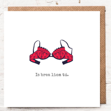 Load image into Gallery viewer, IS BREA LIOM TÚ