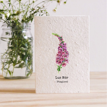 Load image into Gallery viewer, LUS MÓR - FOXGLOVE PLANTABLE SEED CARD