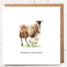 Load image into Gallery viewer, WELCOME TO THE WORLD - SHEEP