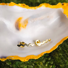 Load image into Gallery viewer, Wild Ireland earrings – Irish sterling silver jewellery
