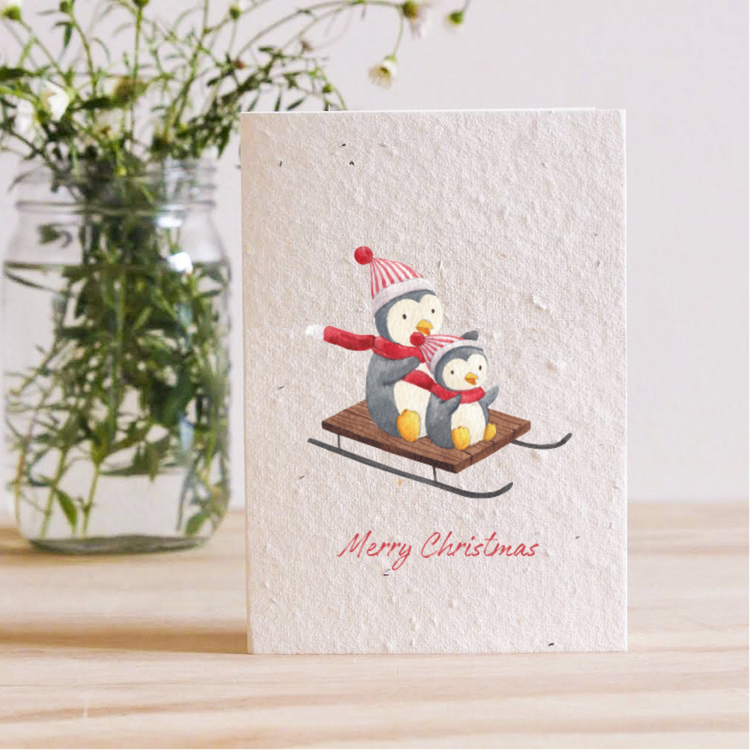 PENGUIN SLEIGH - PLANTABLE GREETING CARD