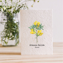 Load image into Gallery viewer, AITEANN GALLDA - GORSE - PLANTABLE SEED CARD
