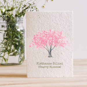 CHERRY BLOSSOM - BLÁTHANNA SILÍNÍ - PLANTABLE SEED CARD