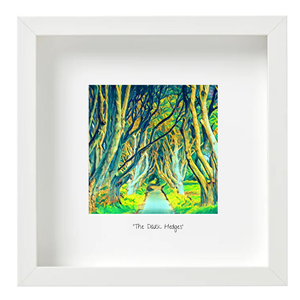 The Dark Hedges