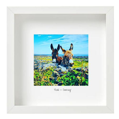 Donkey - Asal