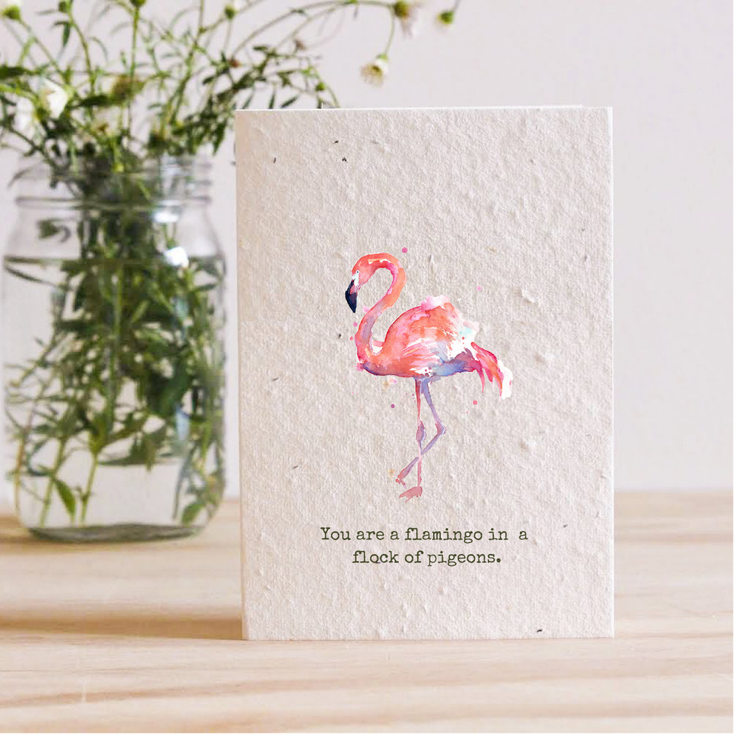 YOU ARE A FLAMINGO IN A FLOCK OF PIGEONS - PLANTABLE SEED CARD