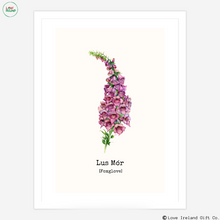 Load image into Gallery viewer, Lus Mór - Fox Glove
