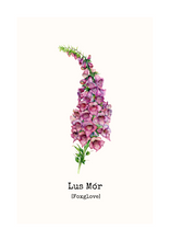 Load image into Gallery viewer, Lus Mór - Fox Glove
