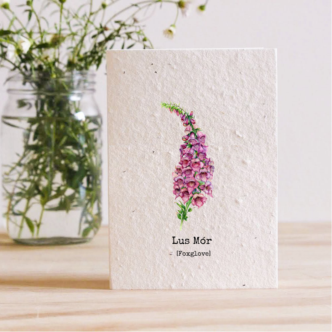 LUS MÓR - FOXGLOVE  PLANTABLE SEED CARD