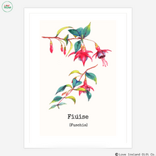 Load image into Gallery viewer, Fiúise - Fuchsia
