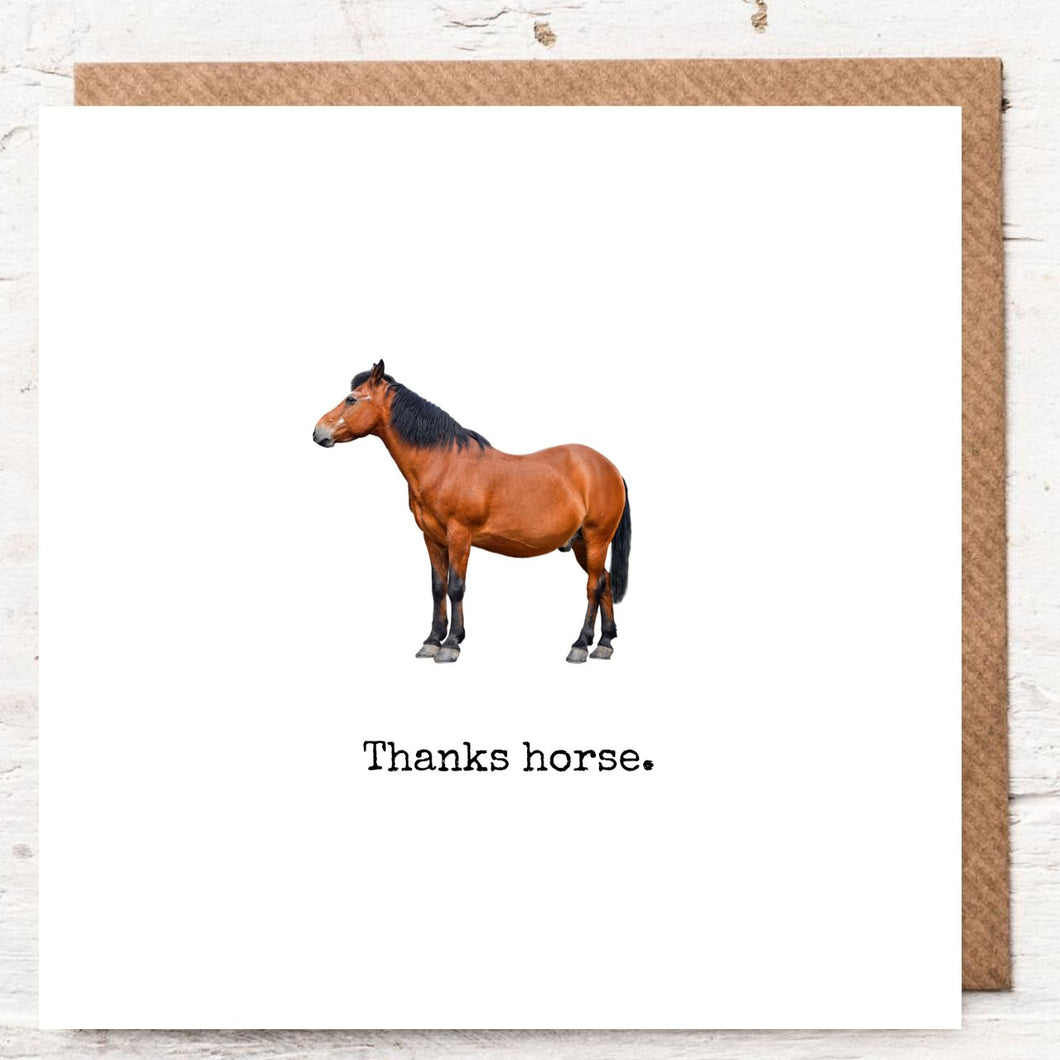 THANKS HORSE