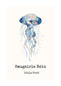 Smugairle Róin - Jellyfish