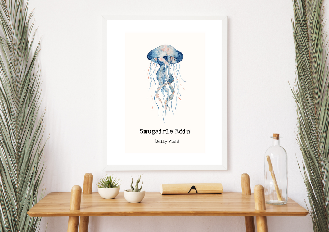 Smugairle Róin - Jellyfish