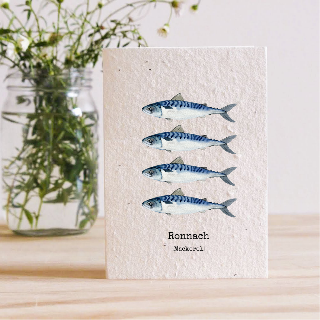 MACKEREL (RONNACH) - PLANTABLE SEED CARD