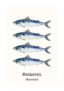 Ronnach - Mackerel