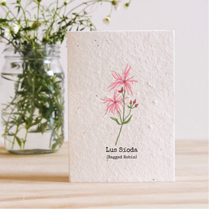 LUS SÍODA - RAGGED ROBIN - PLANTABLE SEED CARD