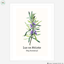 Load image into Gallery viewer, Lus na Móinte - Bog-Rosemary
