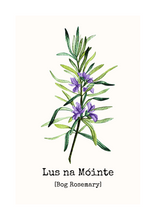 Load image into Gallery viewer, Lus na Móinte - Bog-Rosemary
