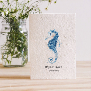 SEA HORSE (CAPALL MARA) - PLANTABLE SEED CARD