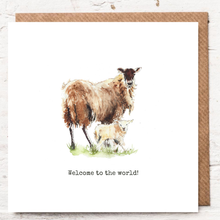 Load image into Gallery viewer, WELCOME TO THE WORLD - SHEEP
