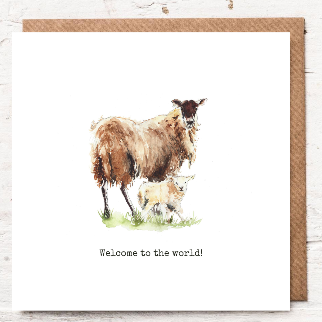 WELCOME TO THE WORLD - SHEEP